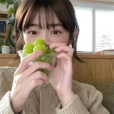 【治愈系美食】《小森林》夏秋/冬春篇大合集：逃离都市回乡下种田，唯美的美食与自然风光治愈一切